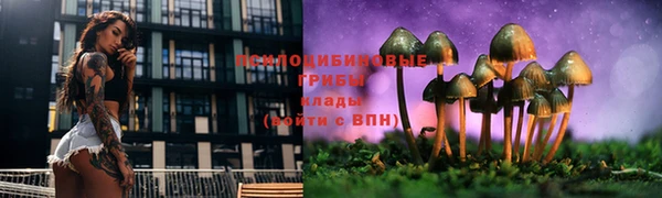 трава Касимов