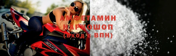 прущие грибы Медногорск