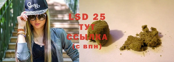 прущие грибы Карпинск