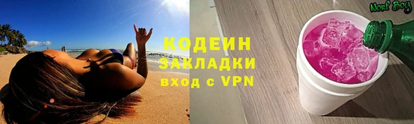 прущие грибы Карпинск