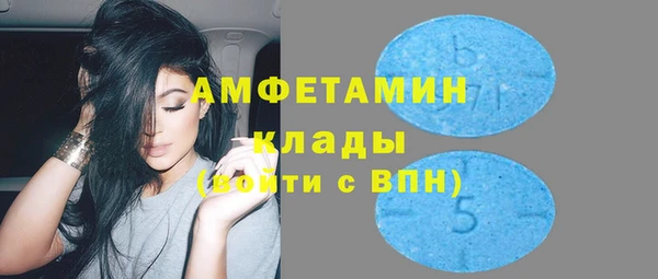 прущие грибы Карпинск