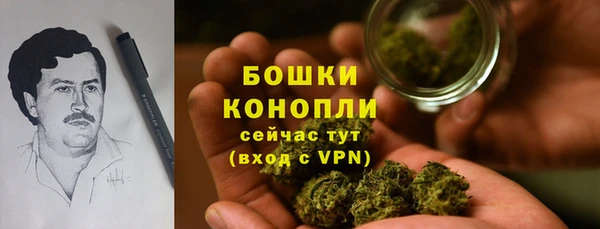 прущие грибы Карпинск