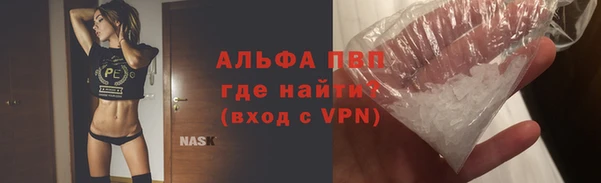прущие грибы Карпинск