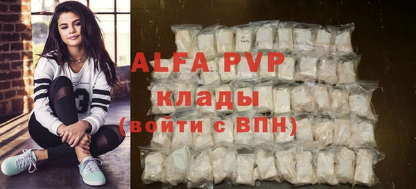 прущие грибы Карпинск