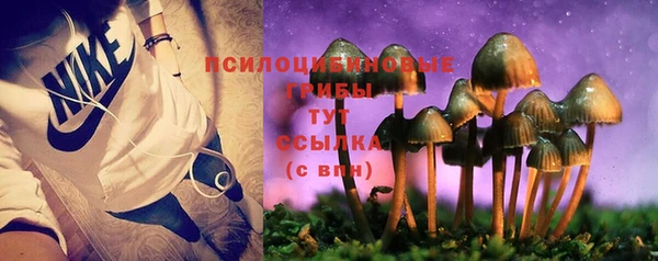 трава Касимов
