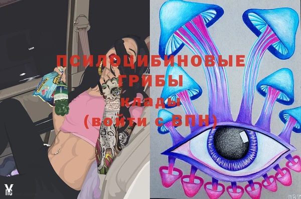 прущие грибы Карпинск